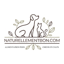 NaturellementBon.com Logo